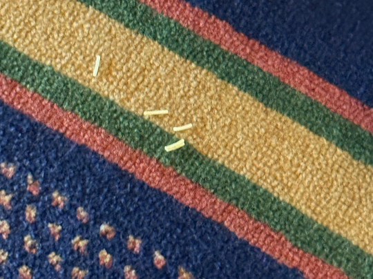 The Terrace at The Settlement主图