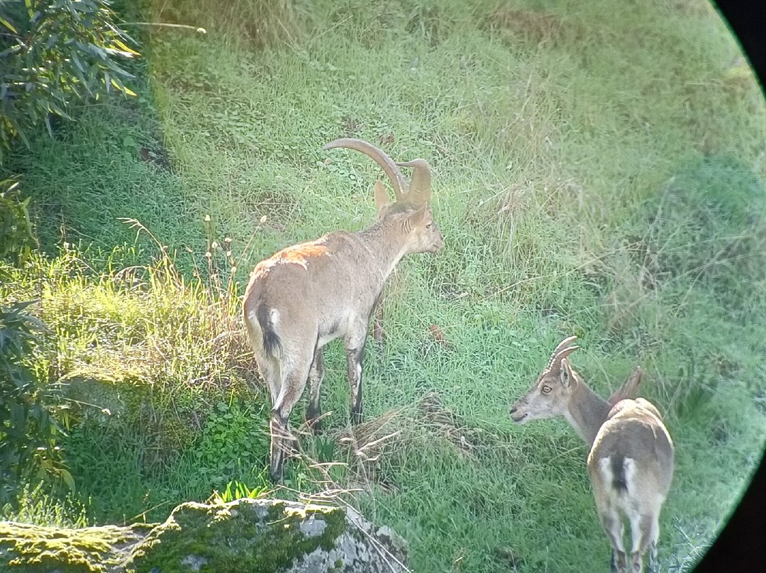 Lyncis Ecoturismo Y Medioambiente-Guarroman必去景点