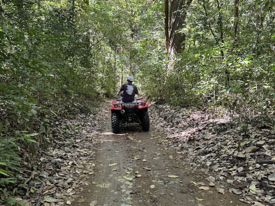Pipin Rentals Nosara-诺萨拉必去景点