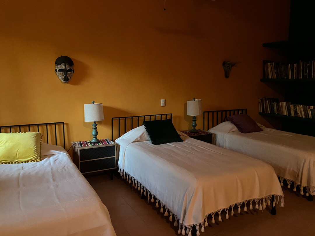 Coyote Mistico Bed & Breakfast主图