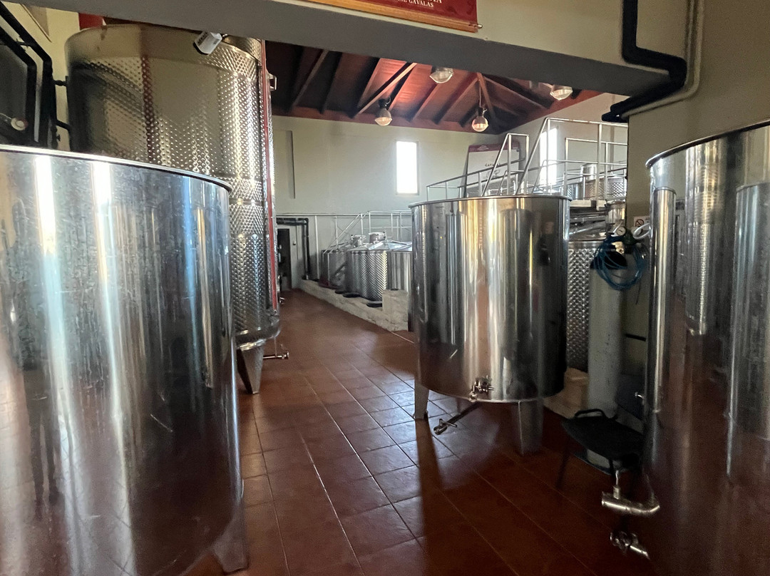 Estate Gavalas-Vorias必去景点