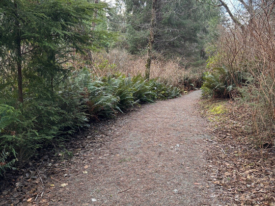 Sheringham Point Lighthouse-Shirley必去景点