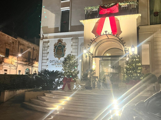 奥斯图尼宫酒店主图