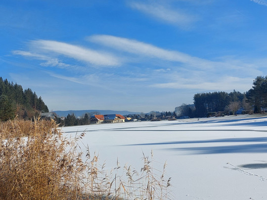 Pension Pirkdorfersee主图