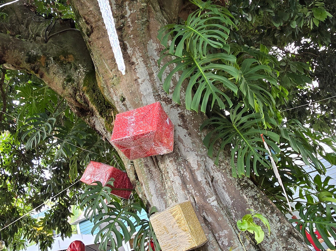 迪米特尔酒店主图