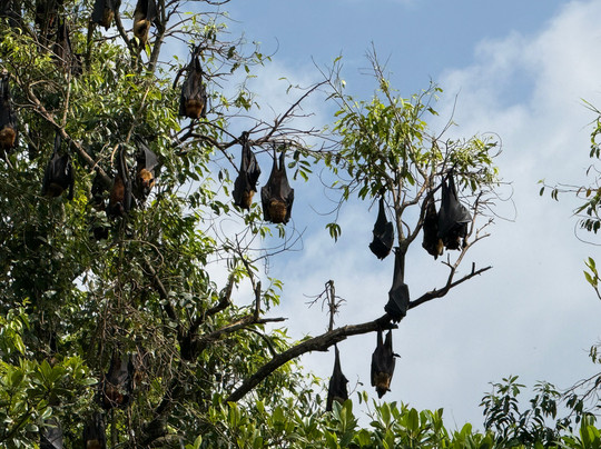 Village Rider-加勒必去景点
