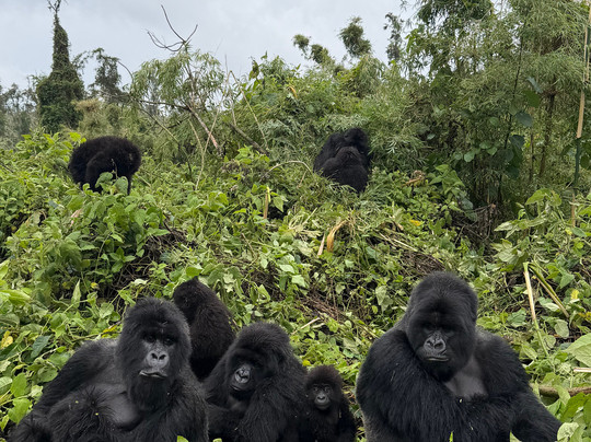 Africa Adventure Safaris-坎帕拉必去景点