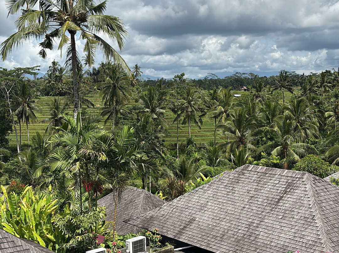 普瑞赛巴利度假村主图