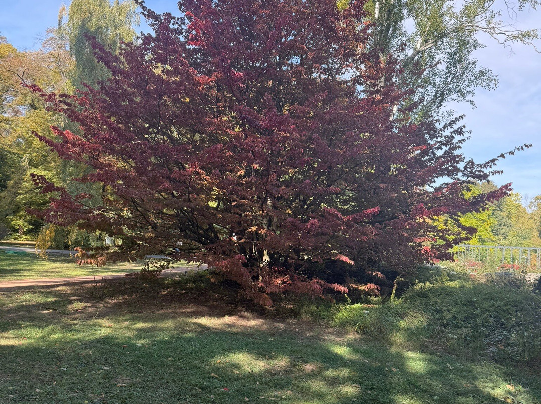 Botanical Garden of the University of Szeged-塞格德必去景点