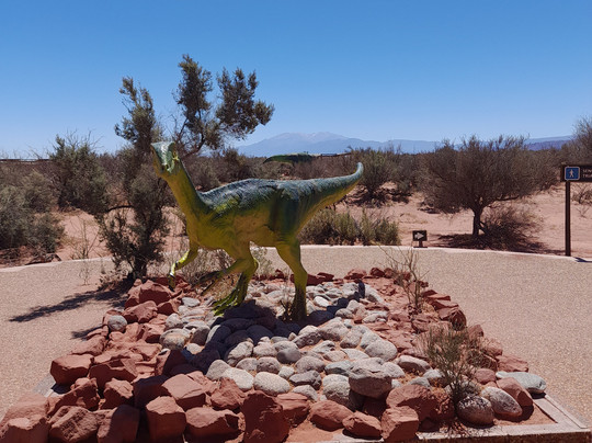 Parque Nacional Talampaya-Villa Union必去景点