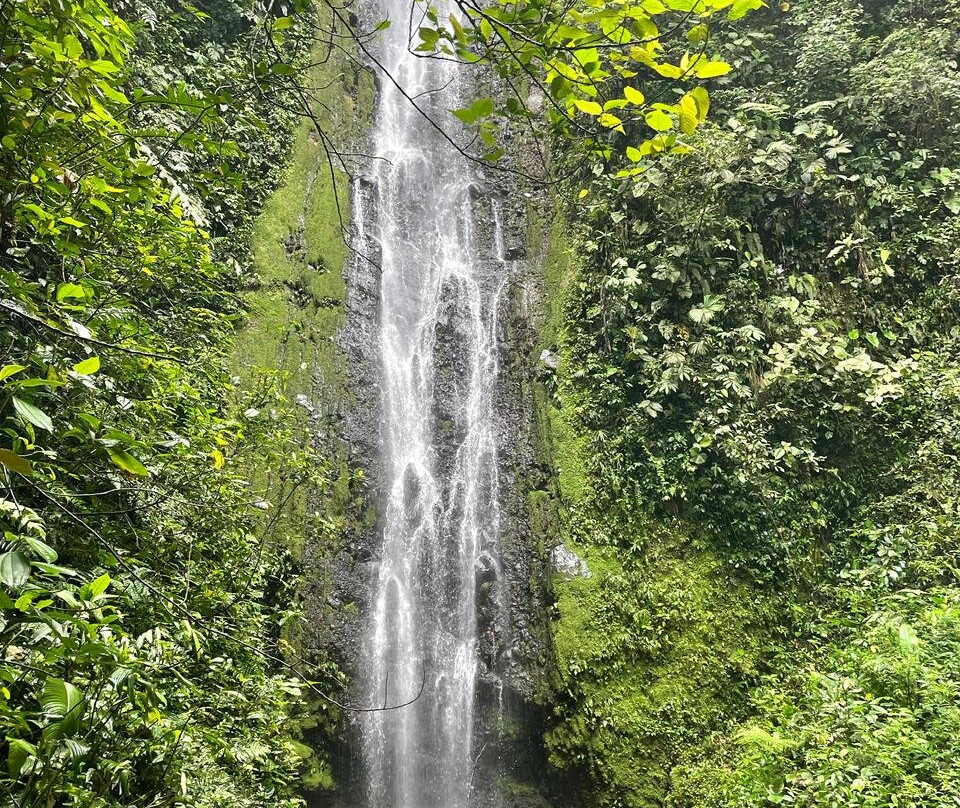Hacienda Monte Claro-图里亚尔瓦必去景点