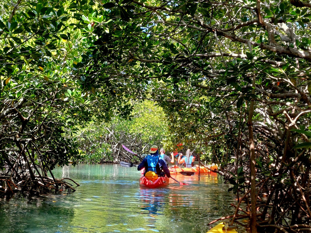 Sea Kayak Adventures-毛里求斯必去景点