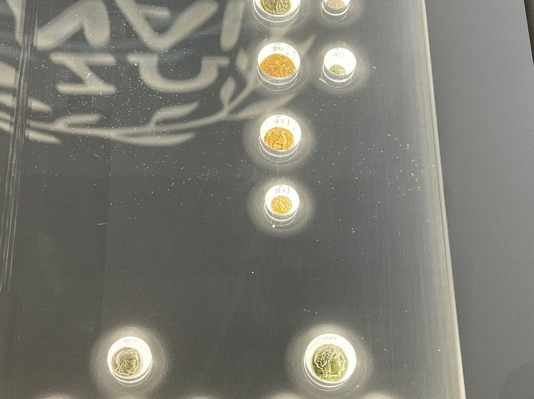 Archaiologikó Mouseío Alexandroupóleos-亚历山德鲁波利必去景点