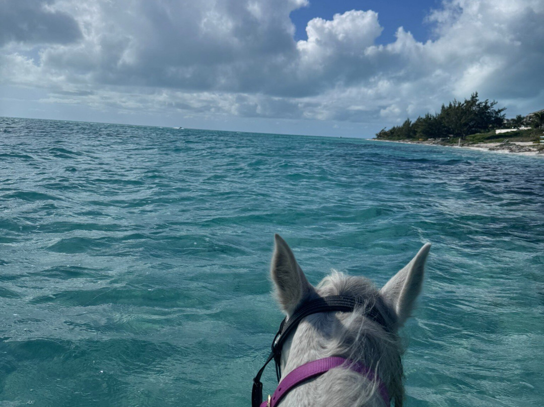 Provo Ponies-Long Bay Hills必去景点