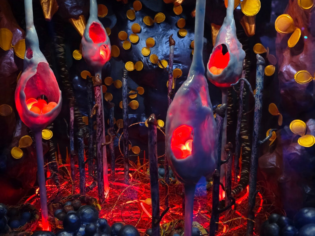 Meow Wolf Grapevine-葡萄藤必去景点