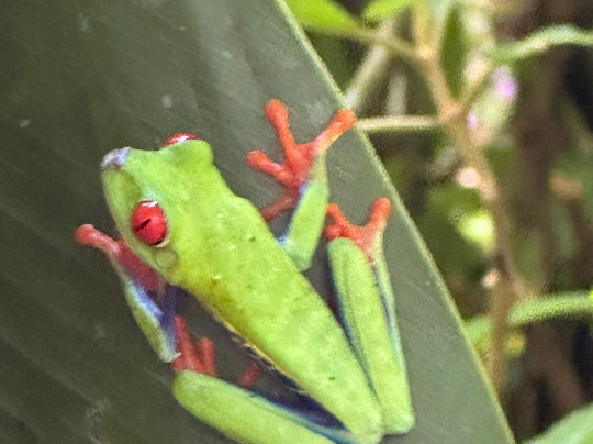 Miravalles Mountain View-Bijagua de Upala必去景点