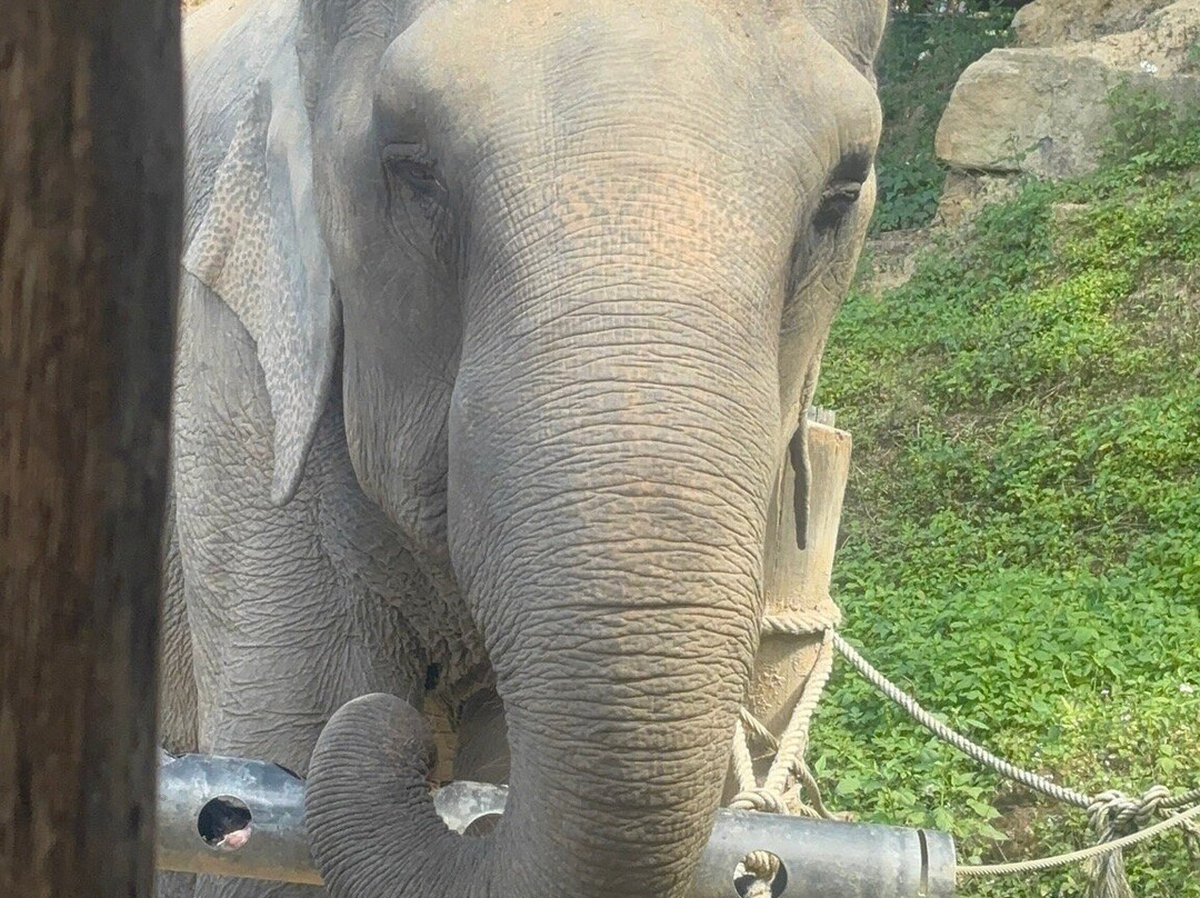 Chang Chill-Mae Win必去景点