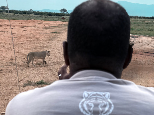 Azmina Tours & Safaris - Sheriffo-马林地必去景点