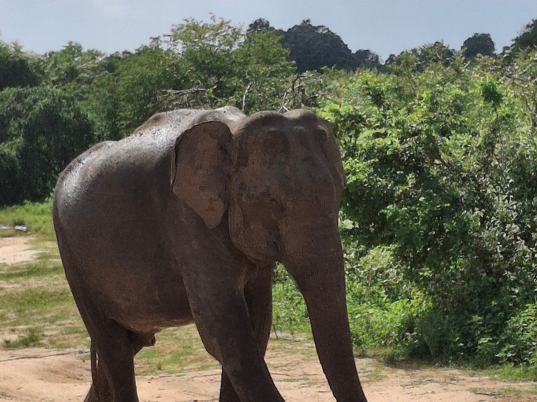 Fernando Tours Sri Lanka-Ja Ela必去景点