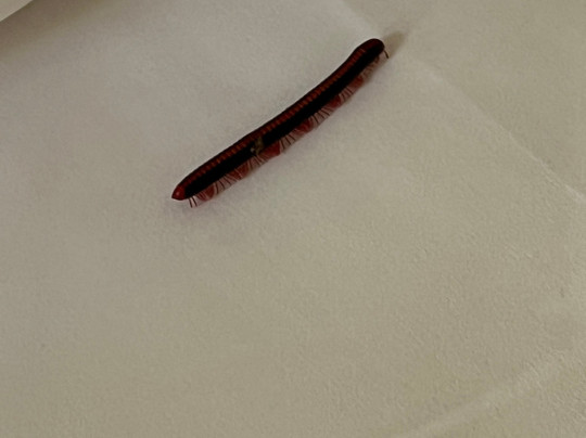 希达勒帕阿欲维达疗养胜地主图