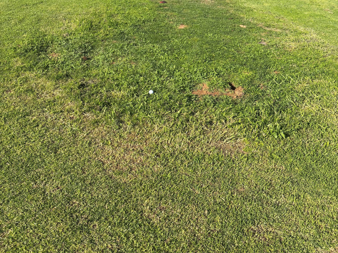 Costa Teguise Golf-科斯塔特吉塞必去景点