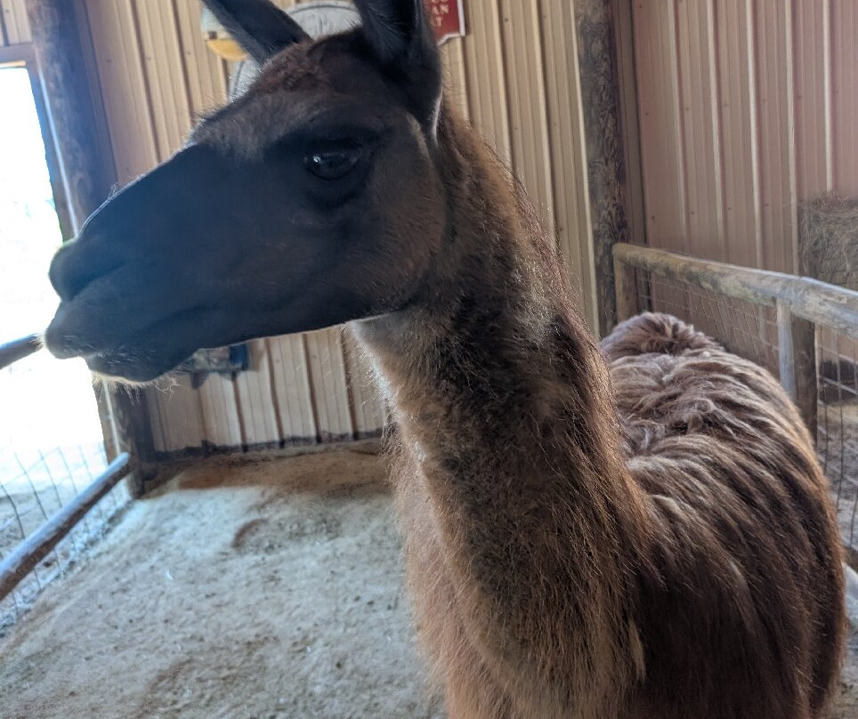 Zoo World Zoological Park-巴拿马城海滩必去景点