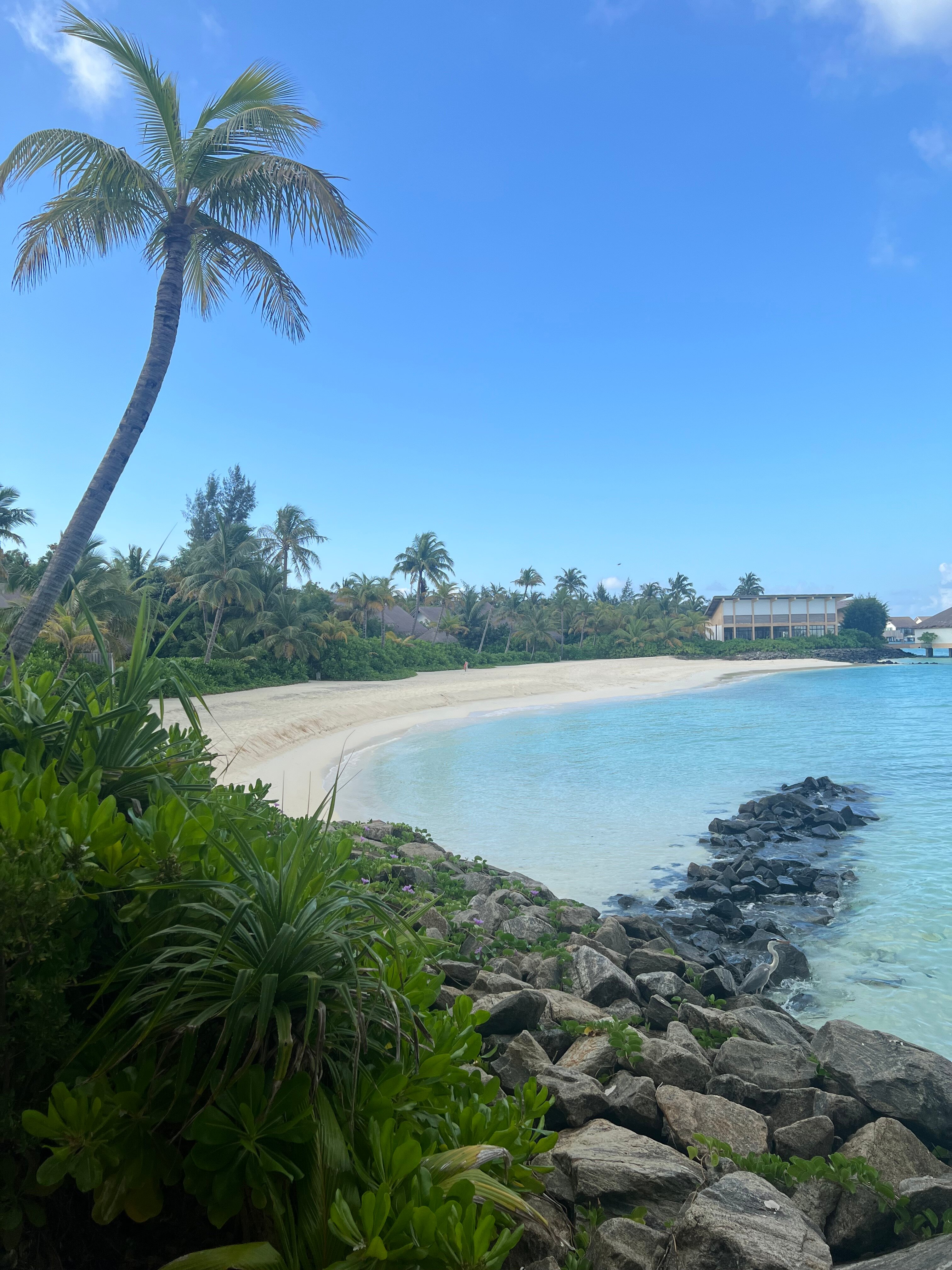 Hilton Maldives Amingiri Resort & Spa-官方