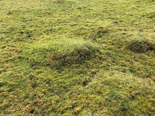 Knole - National Trust-Sevenoaks必去景点