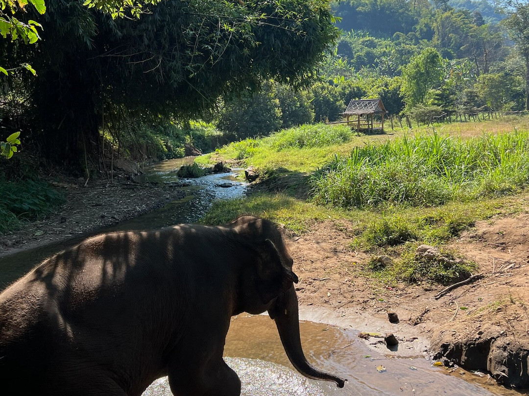 Mike's Authentic Trekking-清迈必去景点