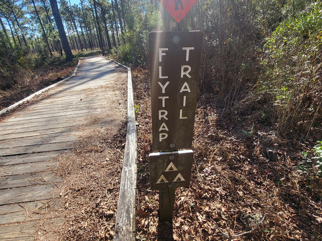 Carolina Beach State Park-卡罗来纳比奇必去景点
