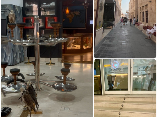 Souq Waqif Falcon Hospital-多哈必去景点