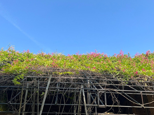 Le Duc Ha Terra Cotta Workshop-Dien Ban必去景点