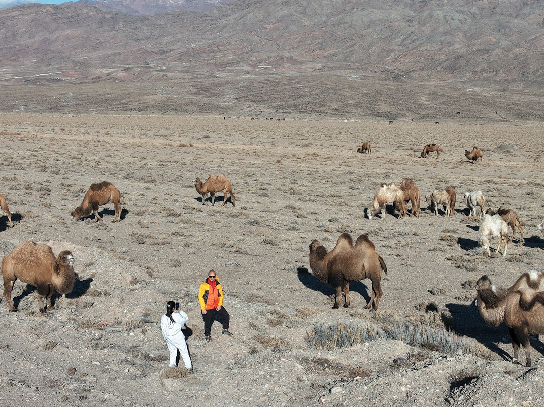 Orto-Tokoy Water Reservoir-Kochkor必去景点
