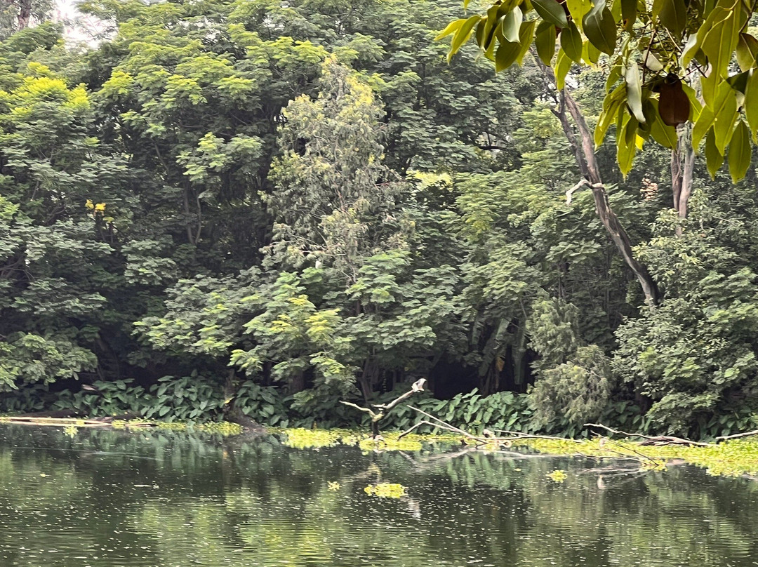 Parc Tsarasaotra-安塔那那利佛必去景点