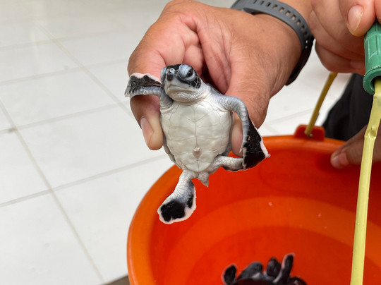 Travelife-玛琅必去景点