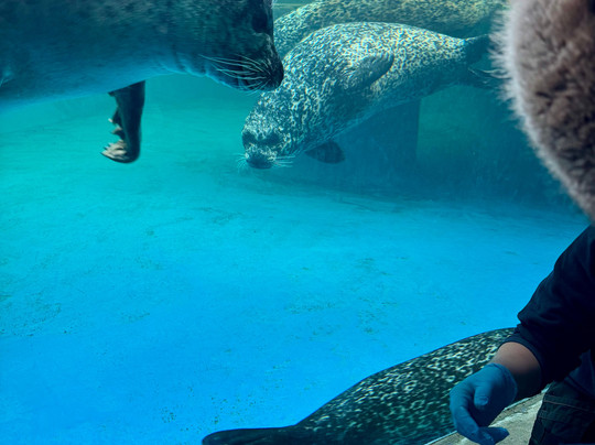 Sea Life Scarborough-斯卡伯勒必去景点