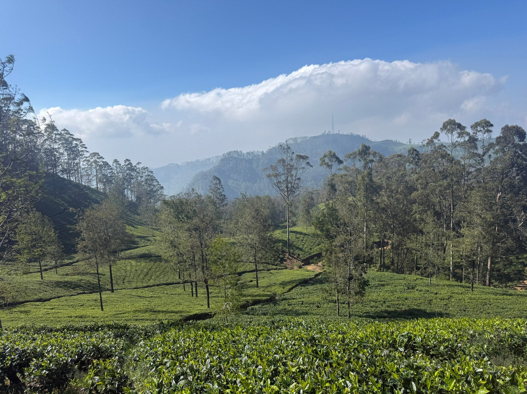 Different Discovery Tours-卡图纳耶克必去景点