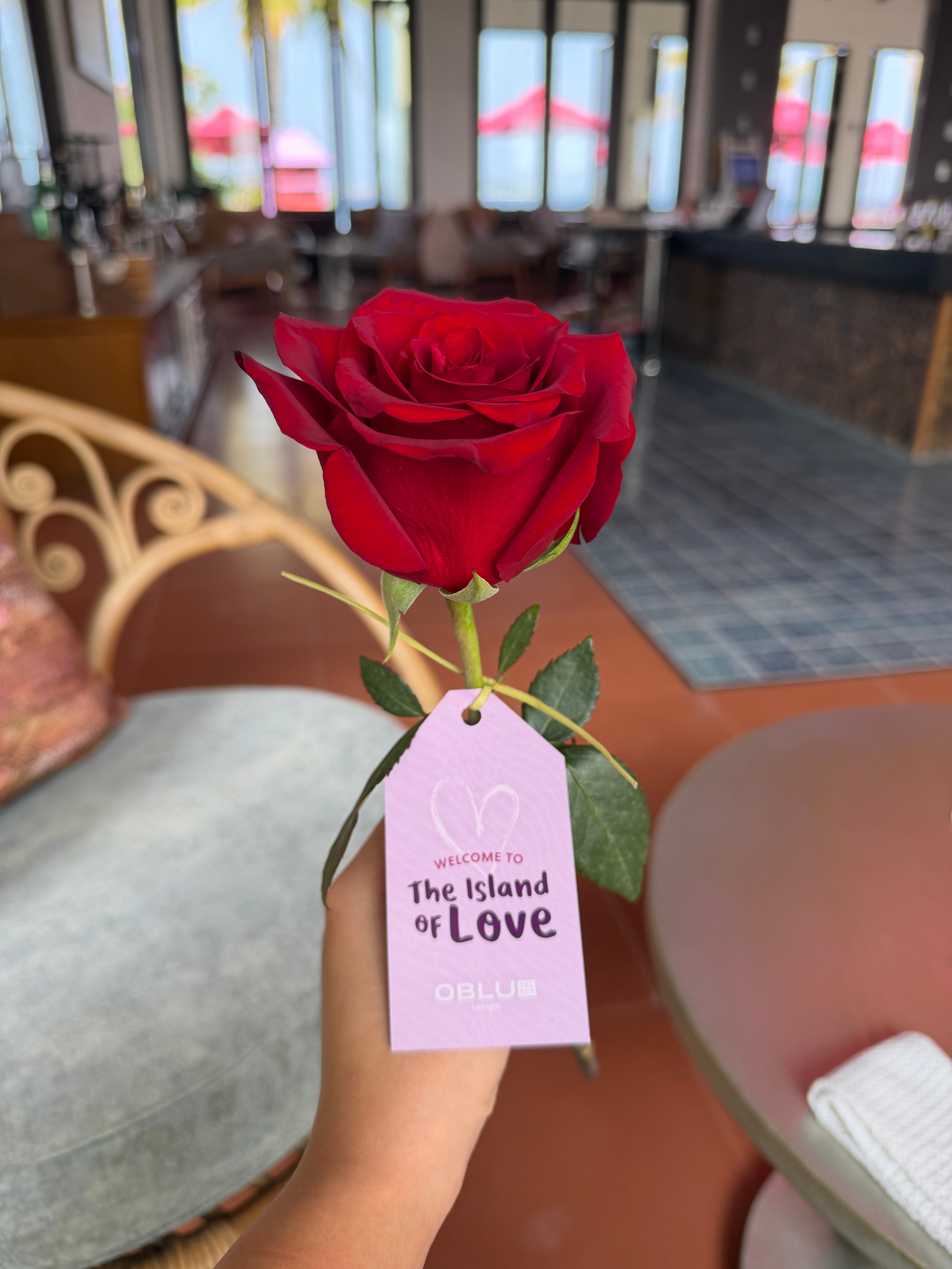 OBLU SELECT Lobigili-官方