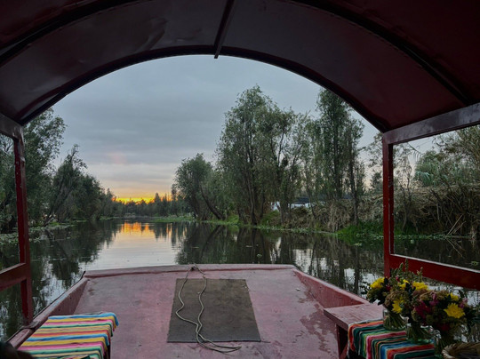 Devoured!-墨西哥城必去景点