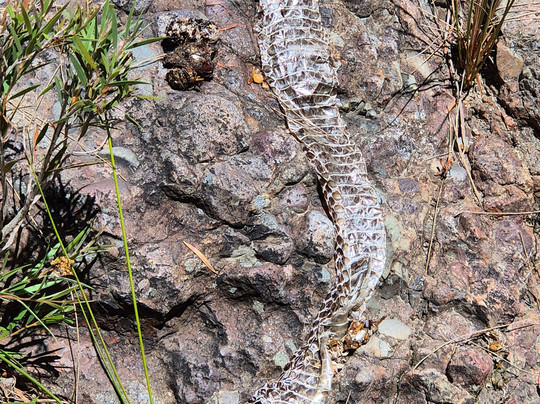 Horton Falls National Park-Barraba必去景点
