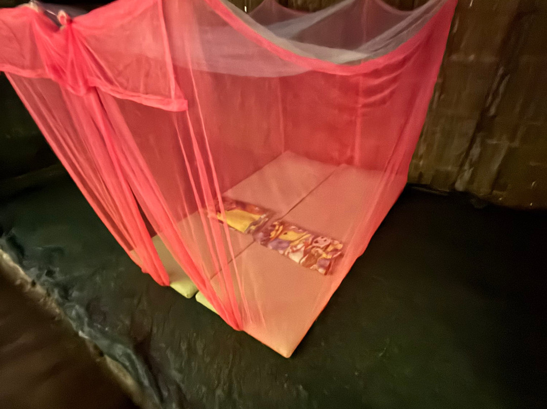 Sumatra Orangutan Explore-武吉拉旺必去景点