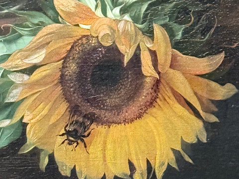 Look Up London Tours-伦敦必去景点