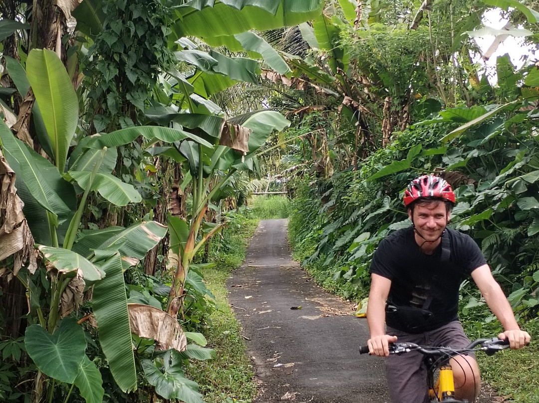 Bali Fun Bike Adventure-Pejeng Kaja必去景点