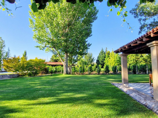 Posada Verde Oliva主图