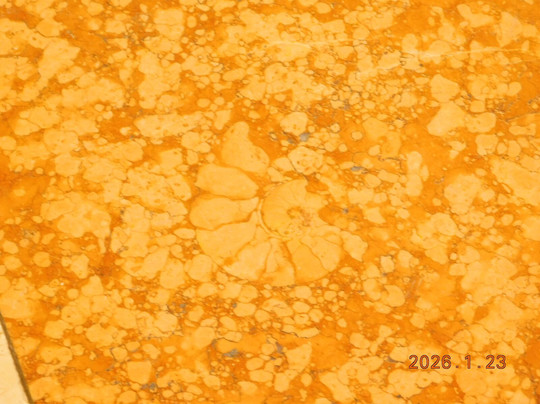 Meiji Seimeikan-Marunouchi必去景点