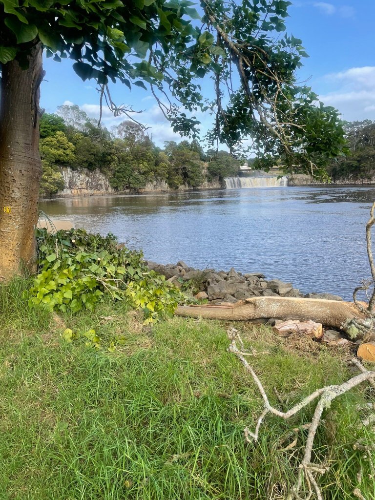 瀑布汽车旅馆及海滨营地-官方