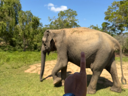 Spotting Trails-雅拉国家公园必去景点