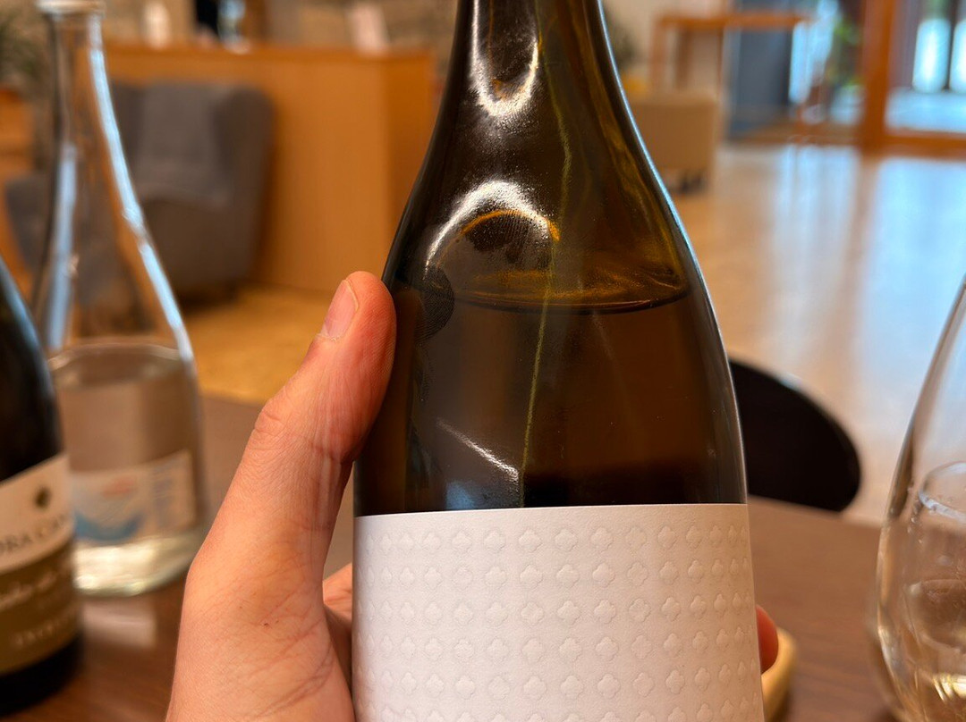 Lusovini - Vinhos de Portugal-Nelas必去景点