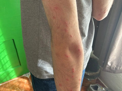 Hotel Cielo y Selva主图