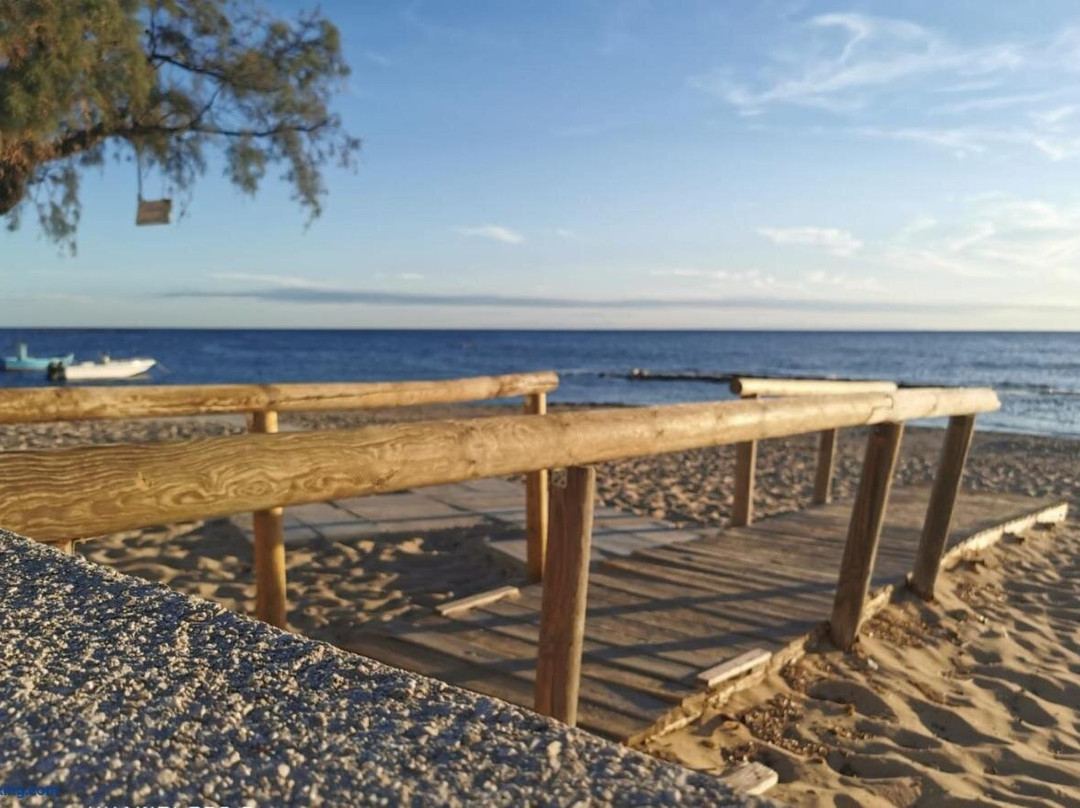 Ariadimare